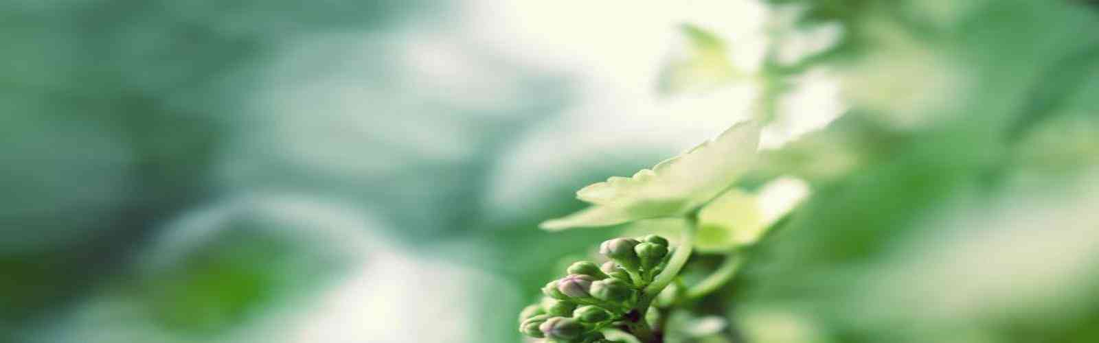 华纳万宝路公司